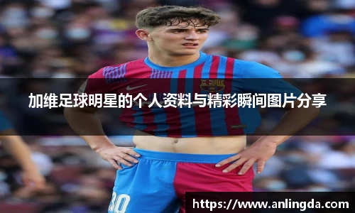 新葡萄8883官网amg